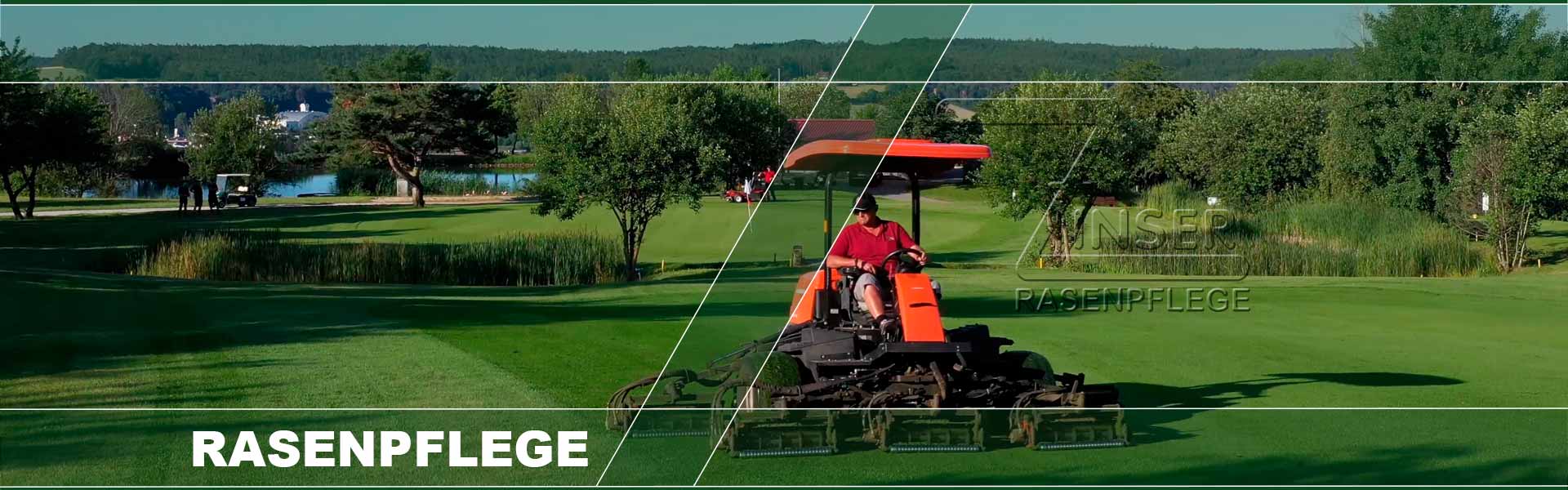 Rasenpflege Zinser Rasen Wiese Pflege