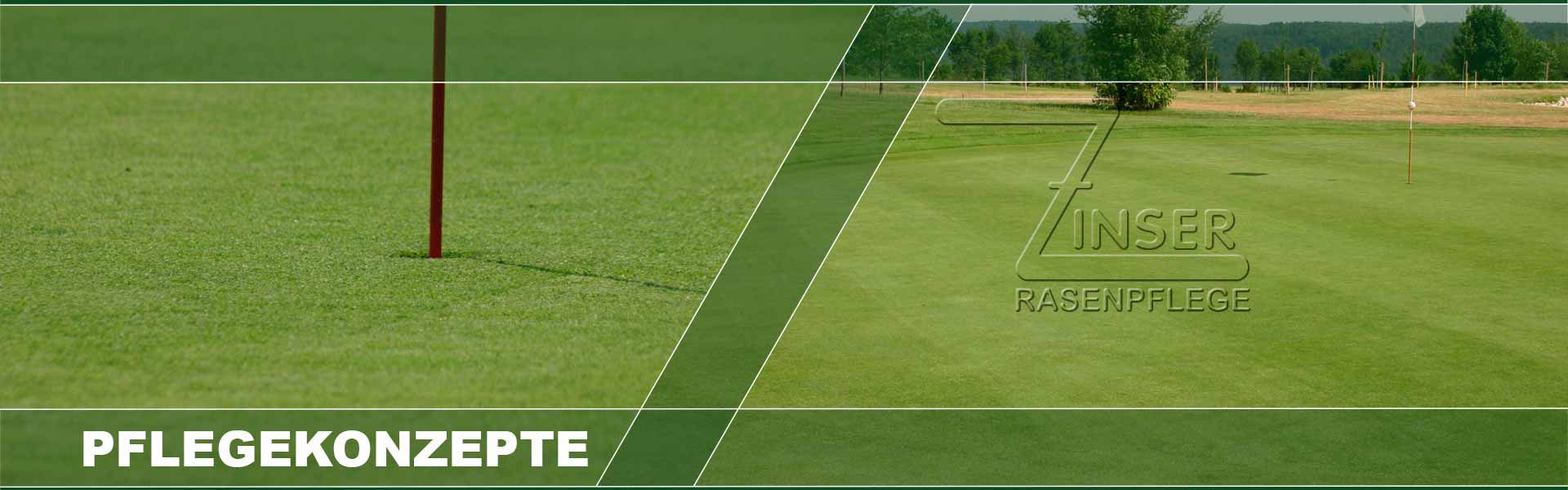 Pfelegekonzept zinser Rasenpflege Wiese rasen